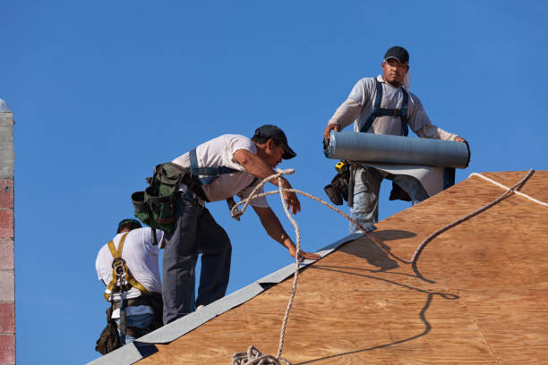 Best Residential Roofing Contractor  in Brookhaven, MS